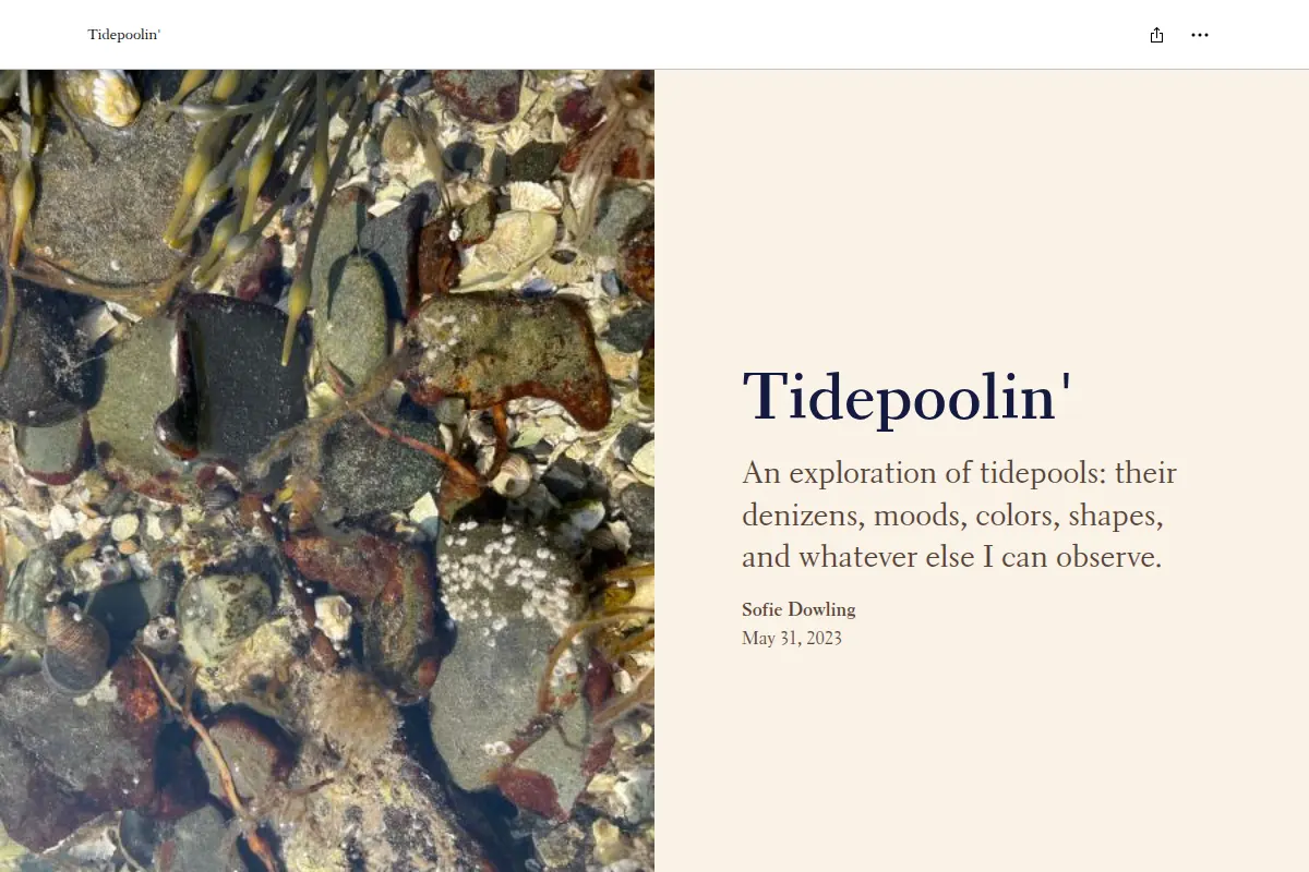 Tidepoolin'