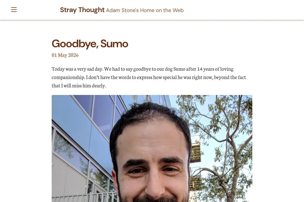 Stray Thought