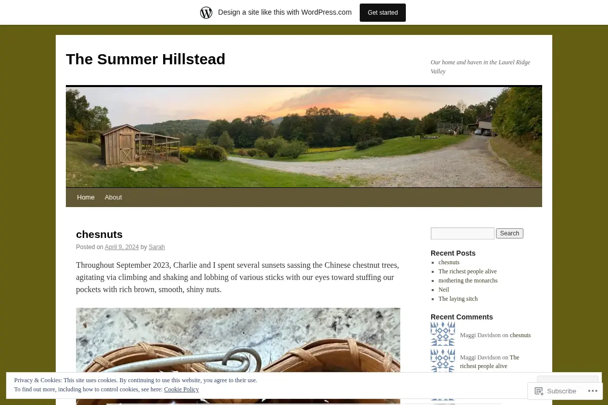 The Summer Hillstead