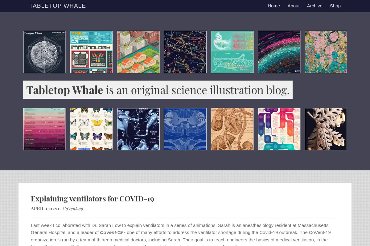 Tabletop Whale