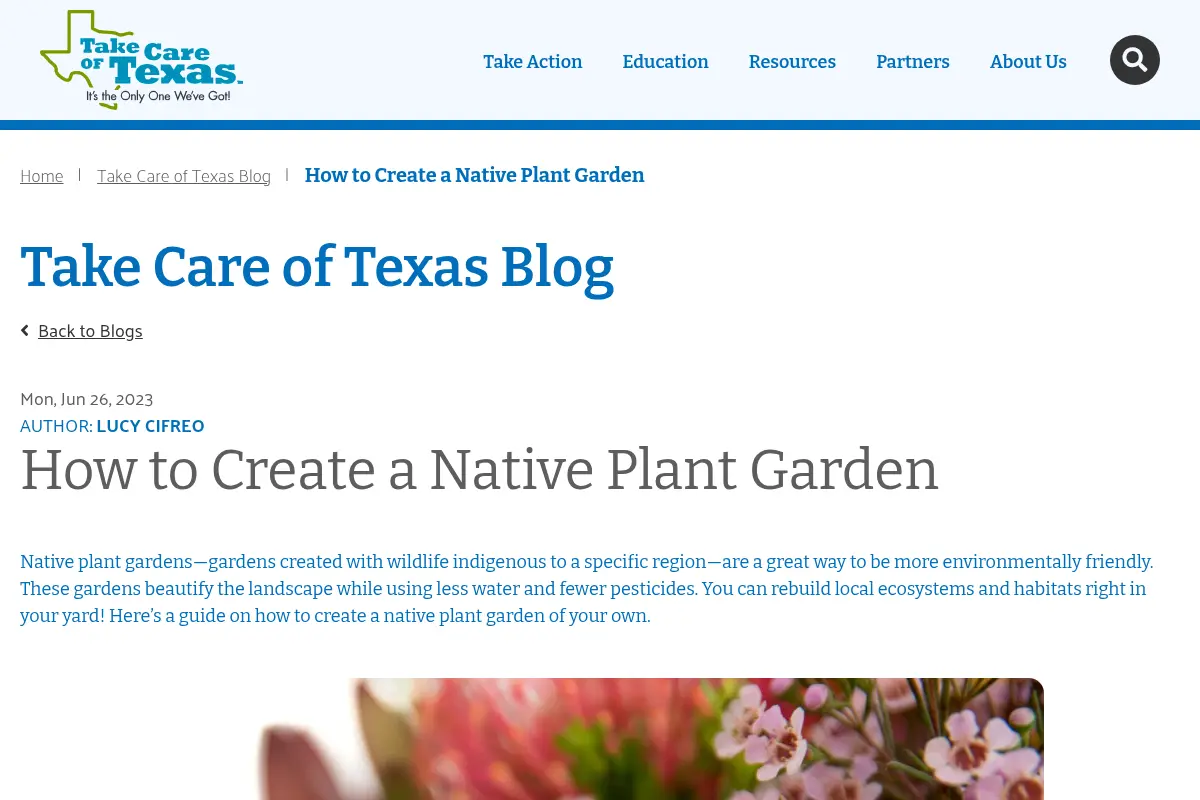 How to Create a Native Plant Garden