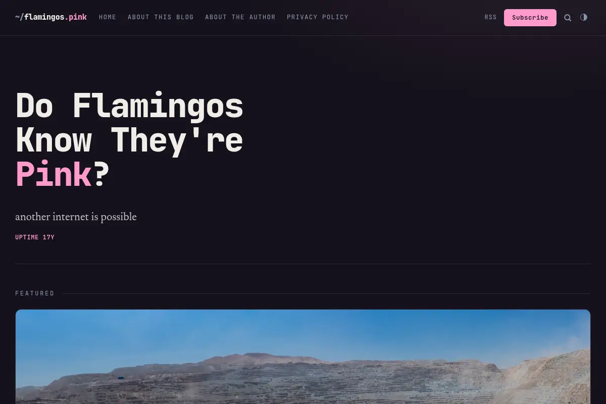 Tara Tarakiyee - Do Flamingos Know They're Pink