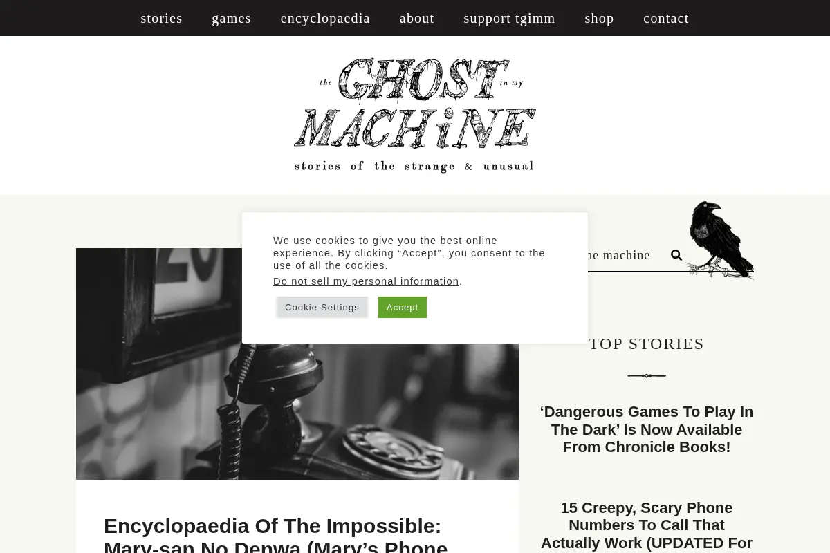 The Ghost In My Machine