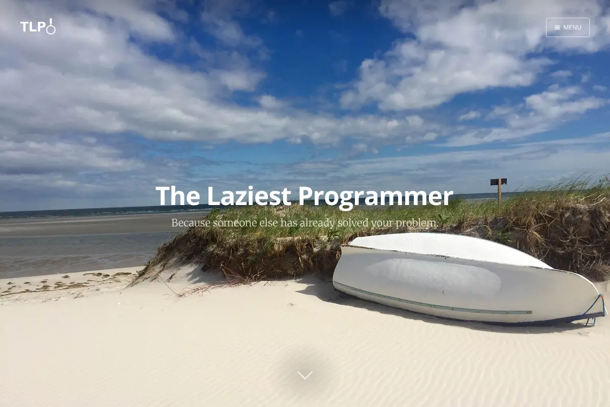 The Laziest Programmer
