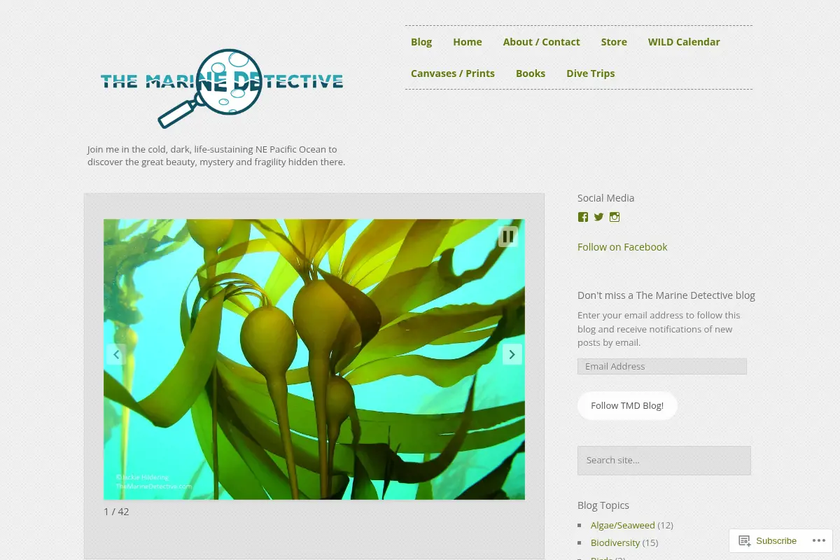 The Marine Detective