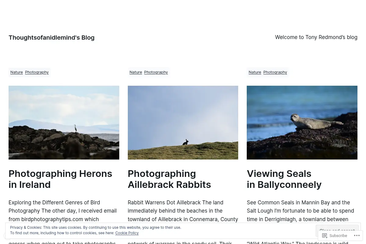 Thoughtsofanidlemind's Blog