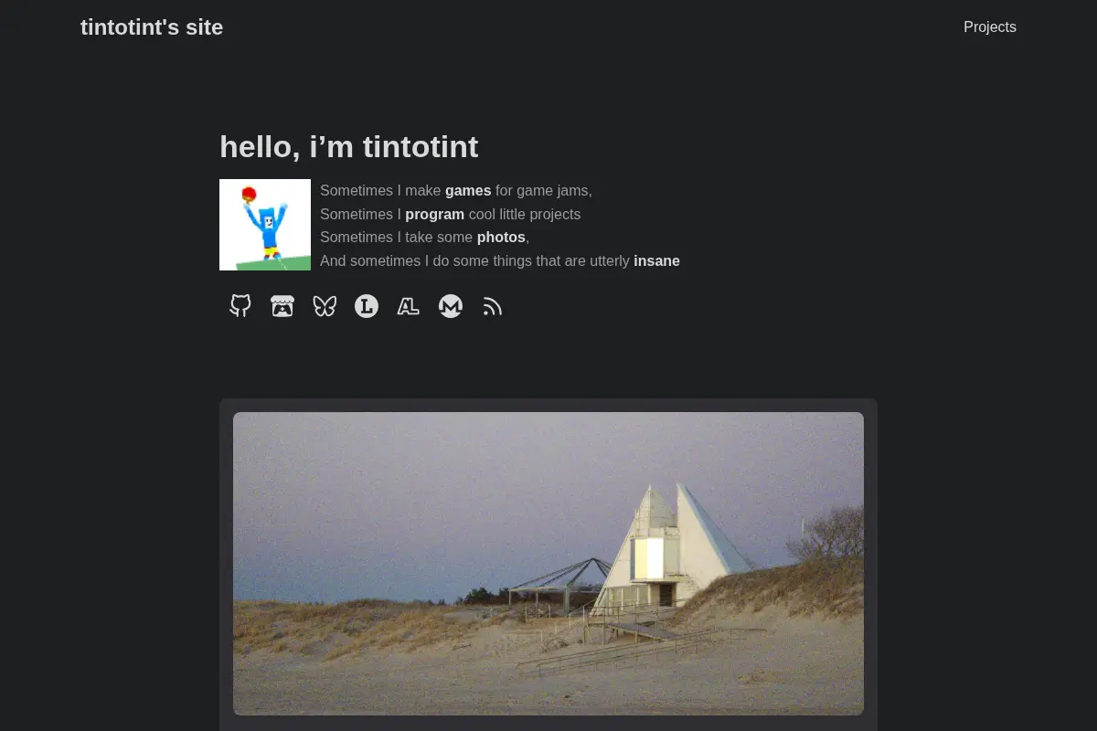 tintotint's site