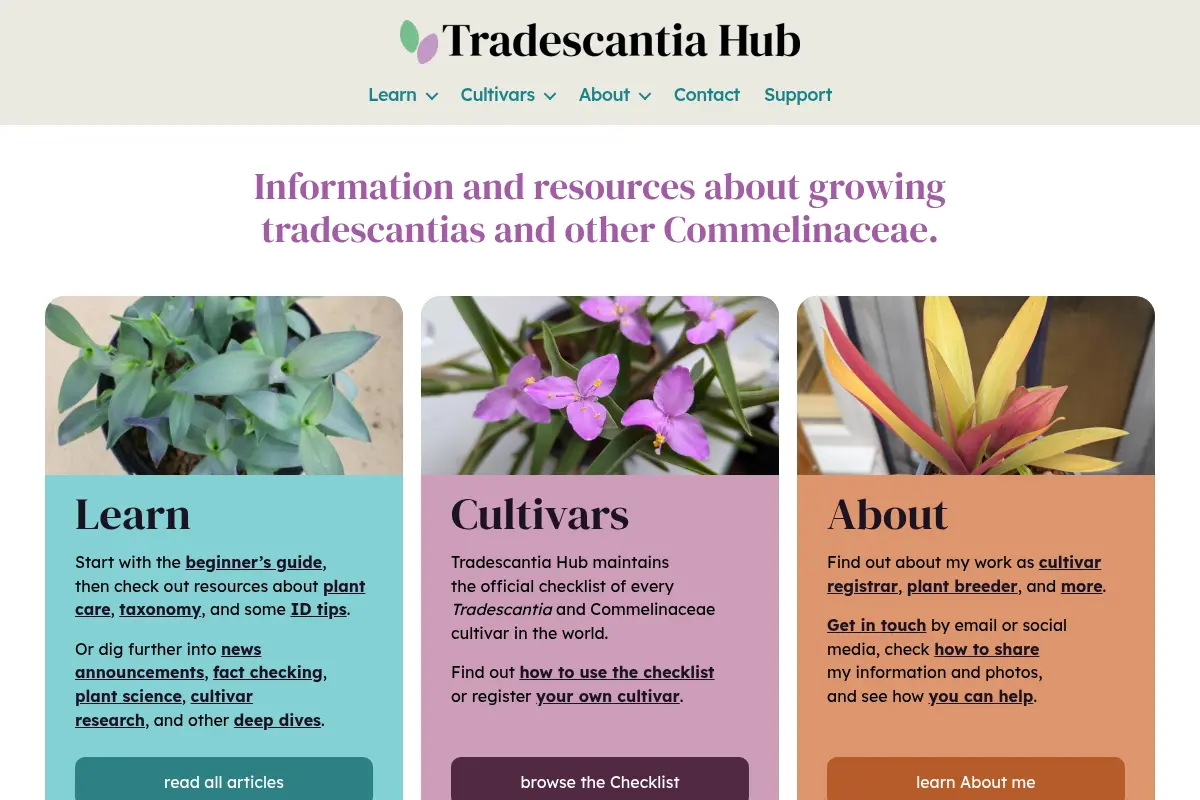 Tradescantia Hub