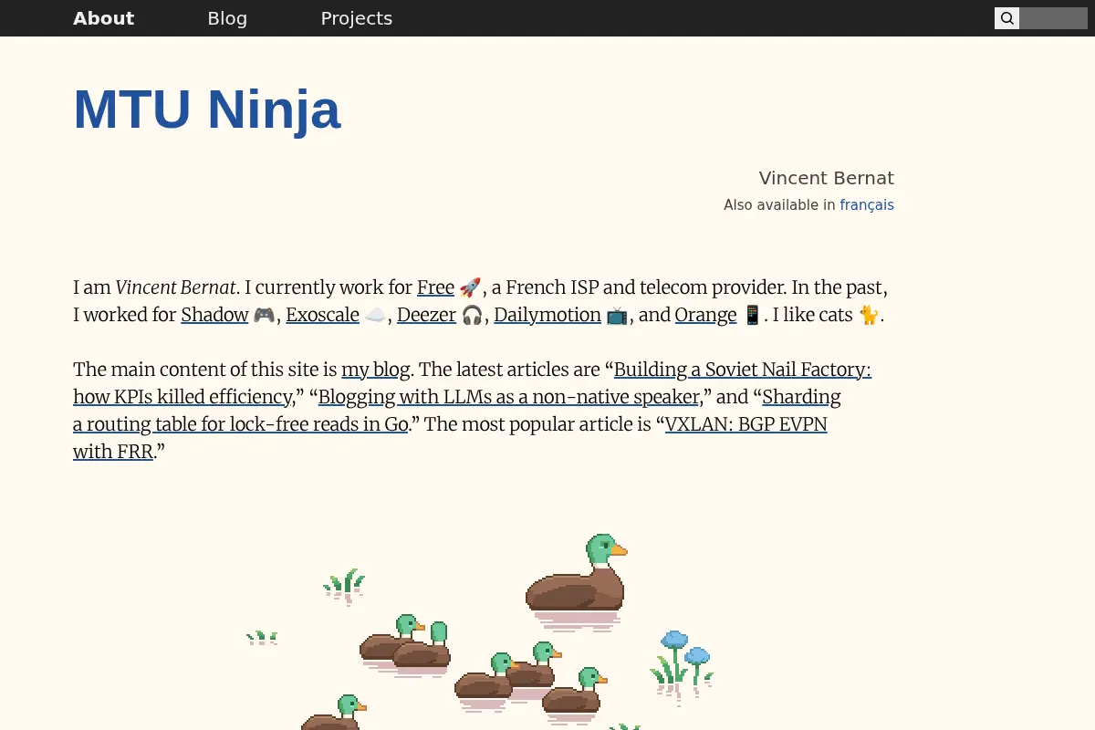 MTU Ninja | Vincent Bernat