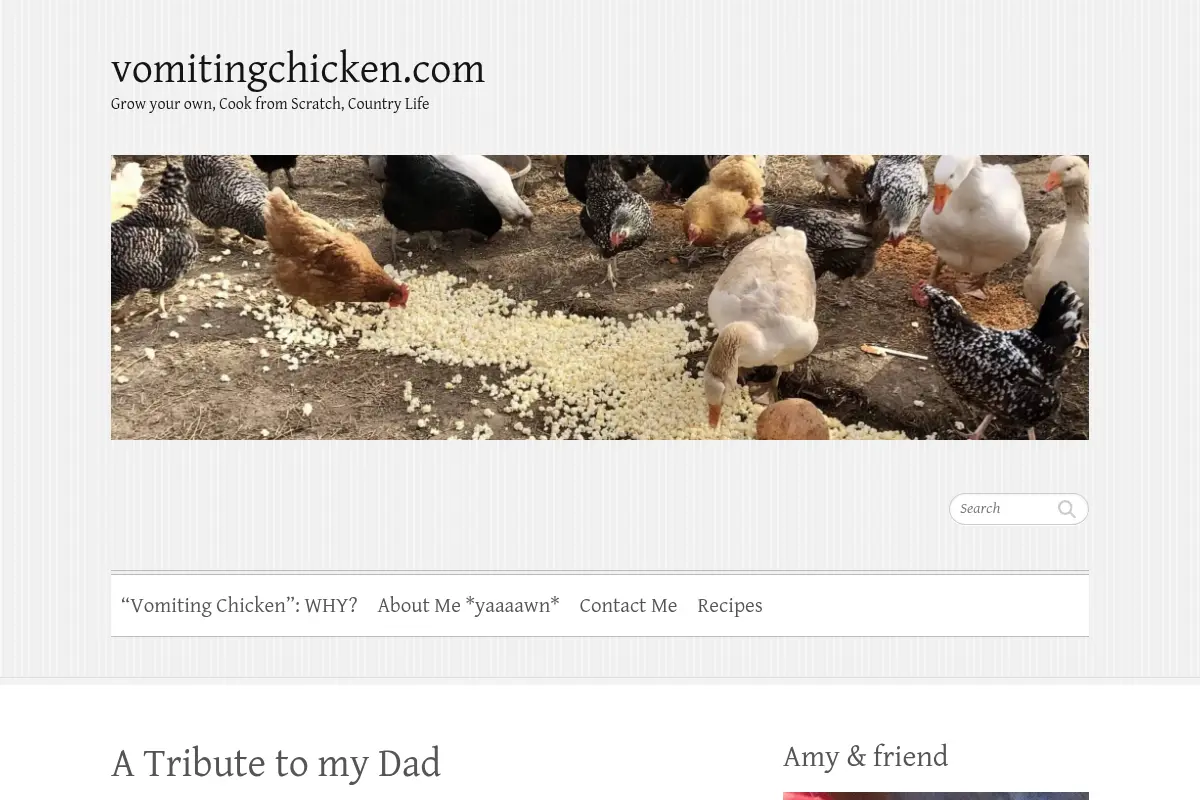 vomitingchicken.com