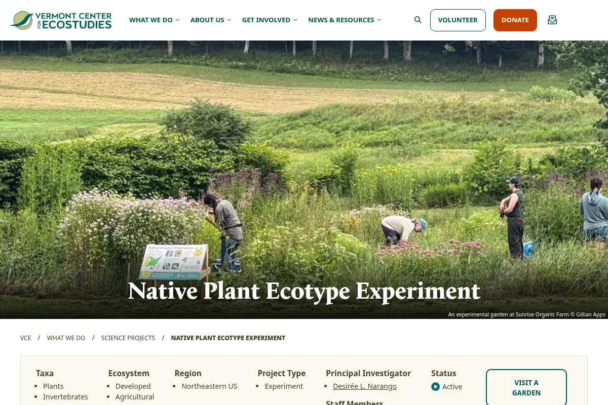 Native Plant Ecotype Experiment | Vermont Center for Ecostudies