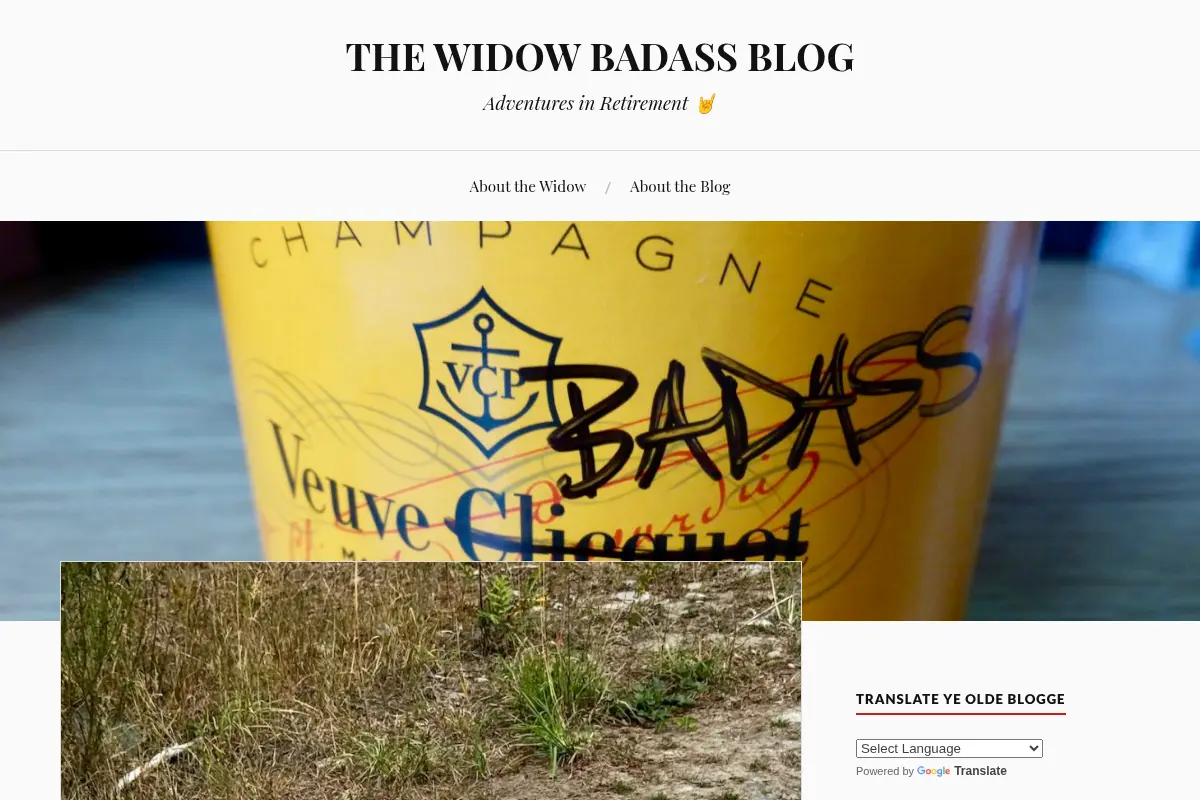 The Widow Badass Blog