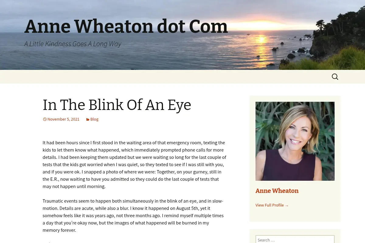 Anne Wheaton dot Com