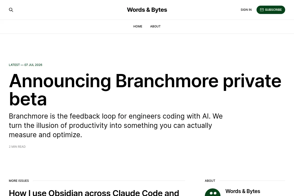 Words & Bytes: Vibe Coding Insights