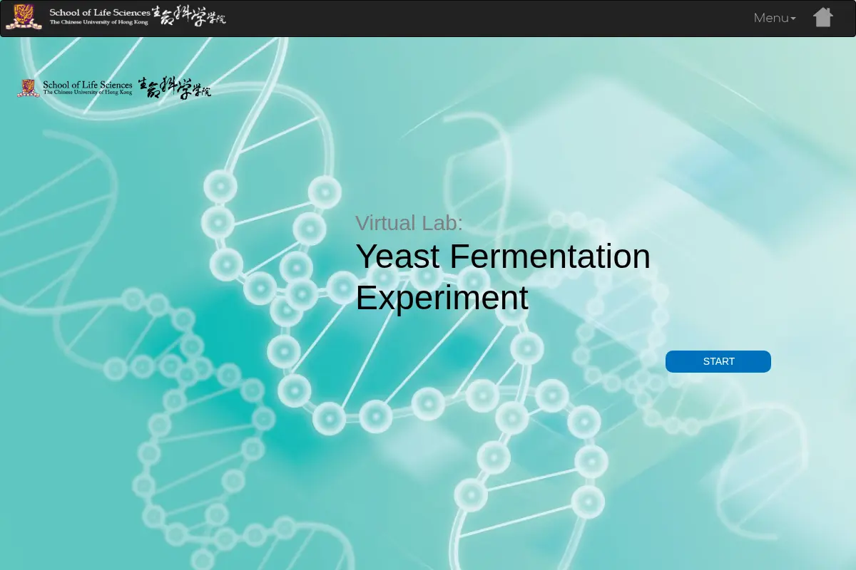 Virtual Lab: Yeast Fermentation Experiment