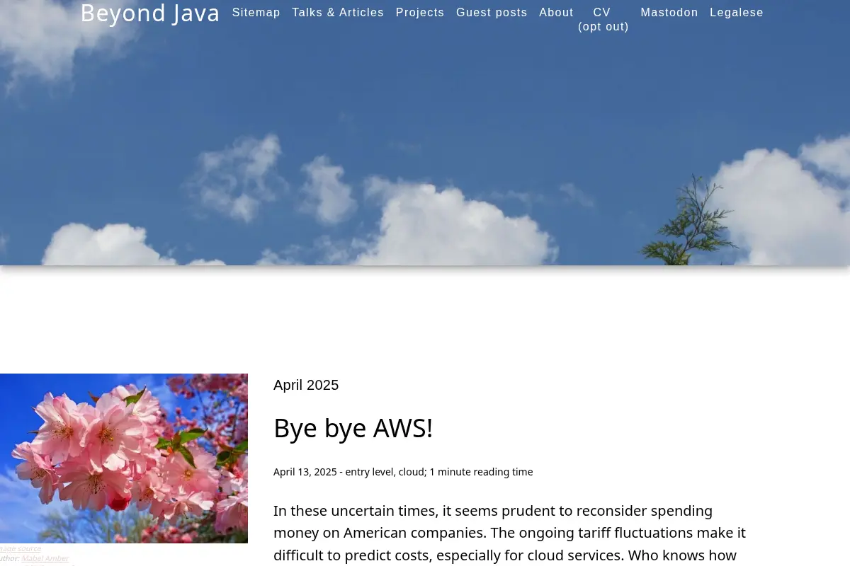 Beyond Java
