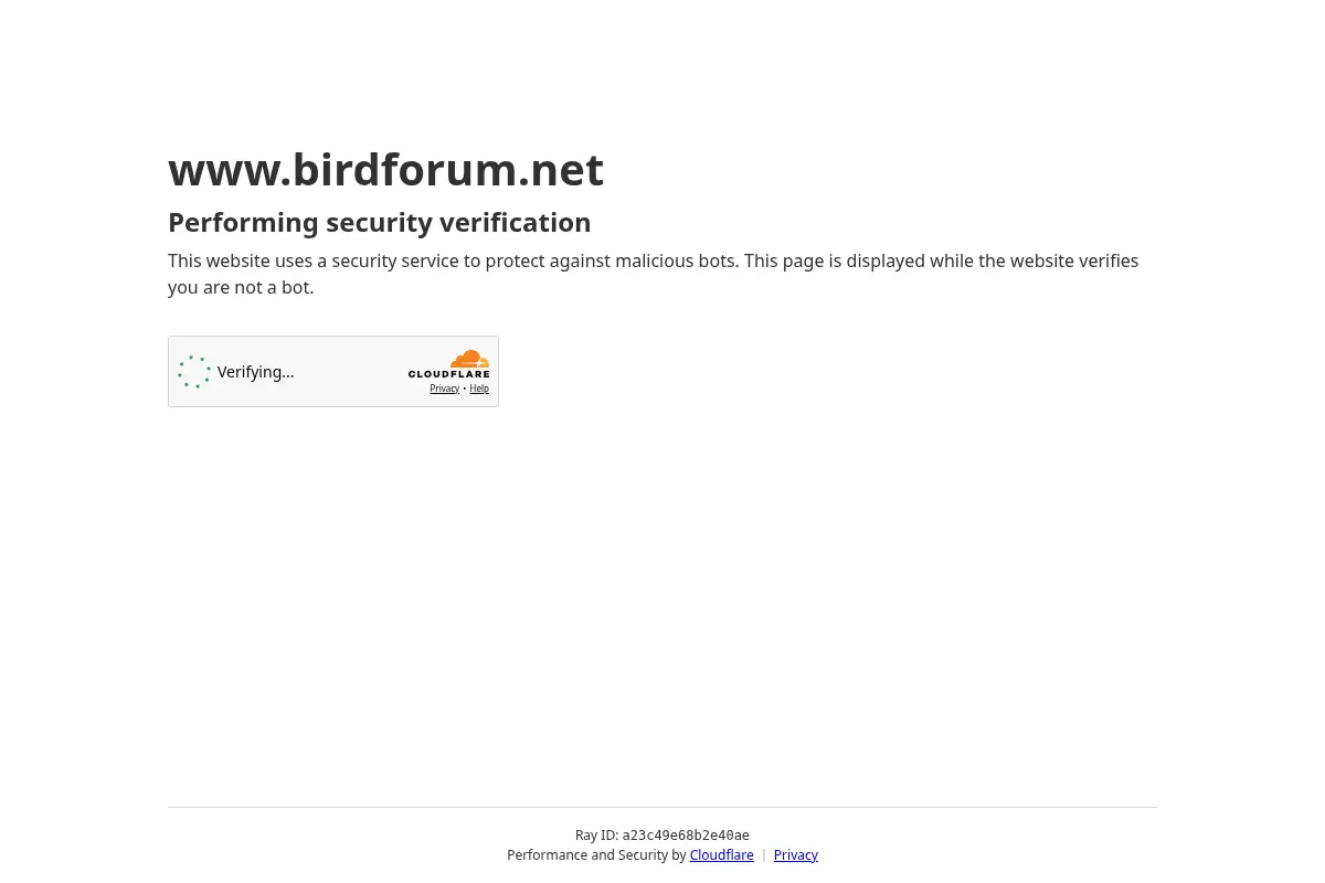 BirdForum