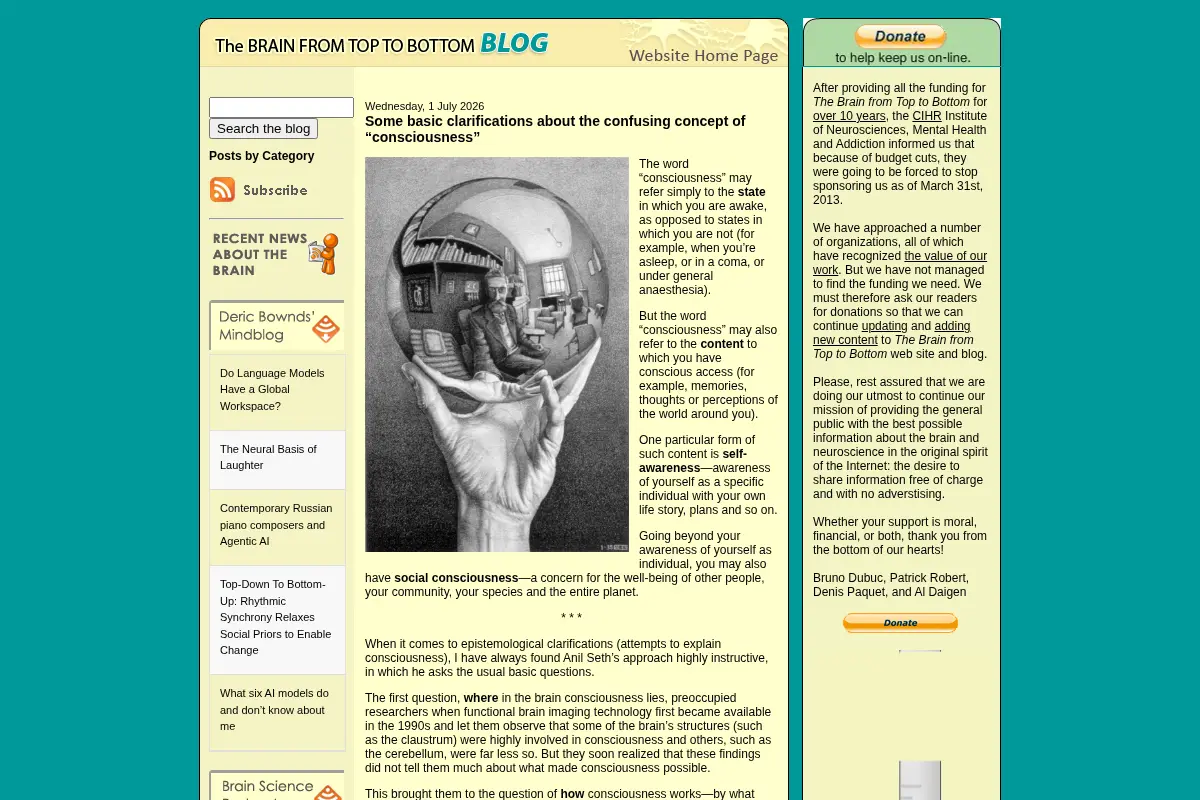 The Brain from Top to Bottom Blog