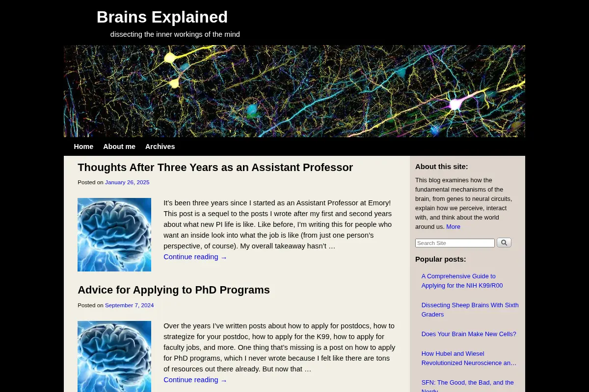Brains Explained