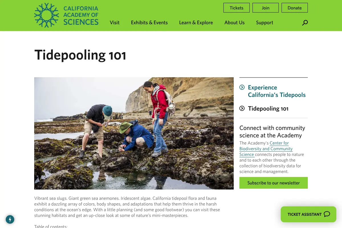 Tidepooling 101 - California Academy of Sciences