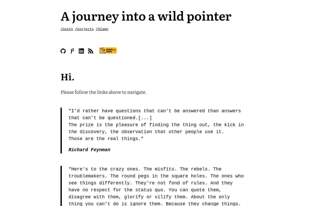 A journey into a wild pointer