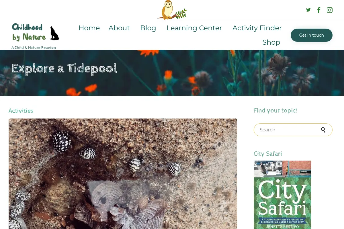 Explore a Tidepool – Childhood By Nature