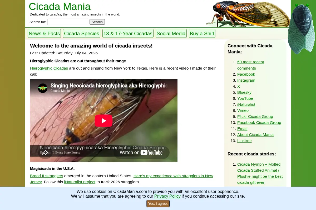 Cicada Mania: Cicada Photos, Sounds, News & Facts
