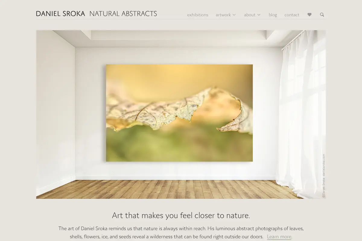Daniel Sroka Fine Art