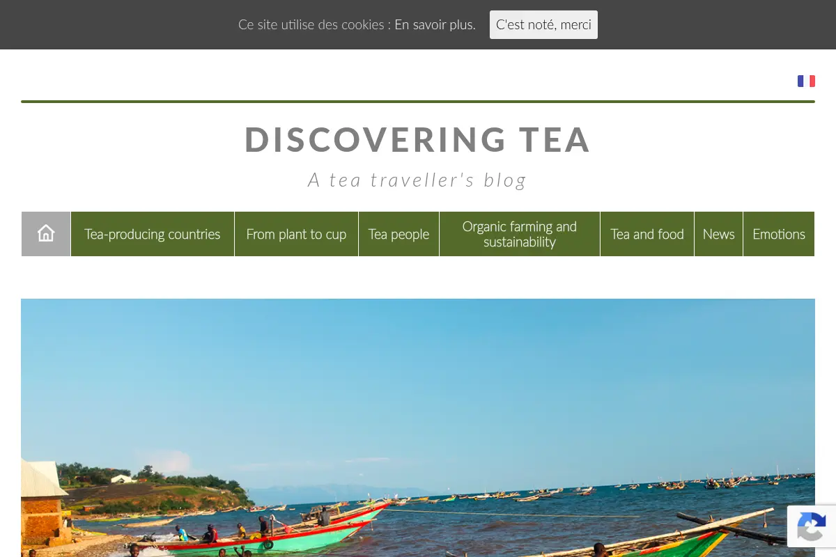 Discovering Tea