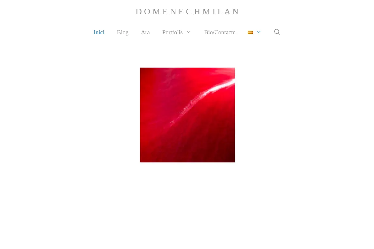 Domènech Milan Fotografia