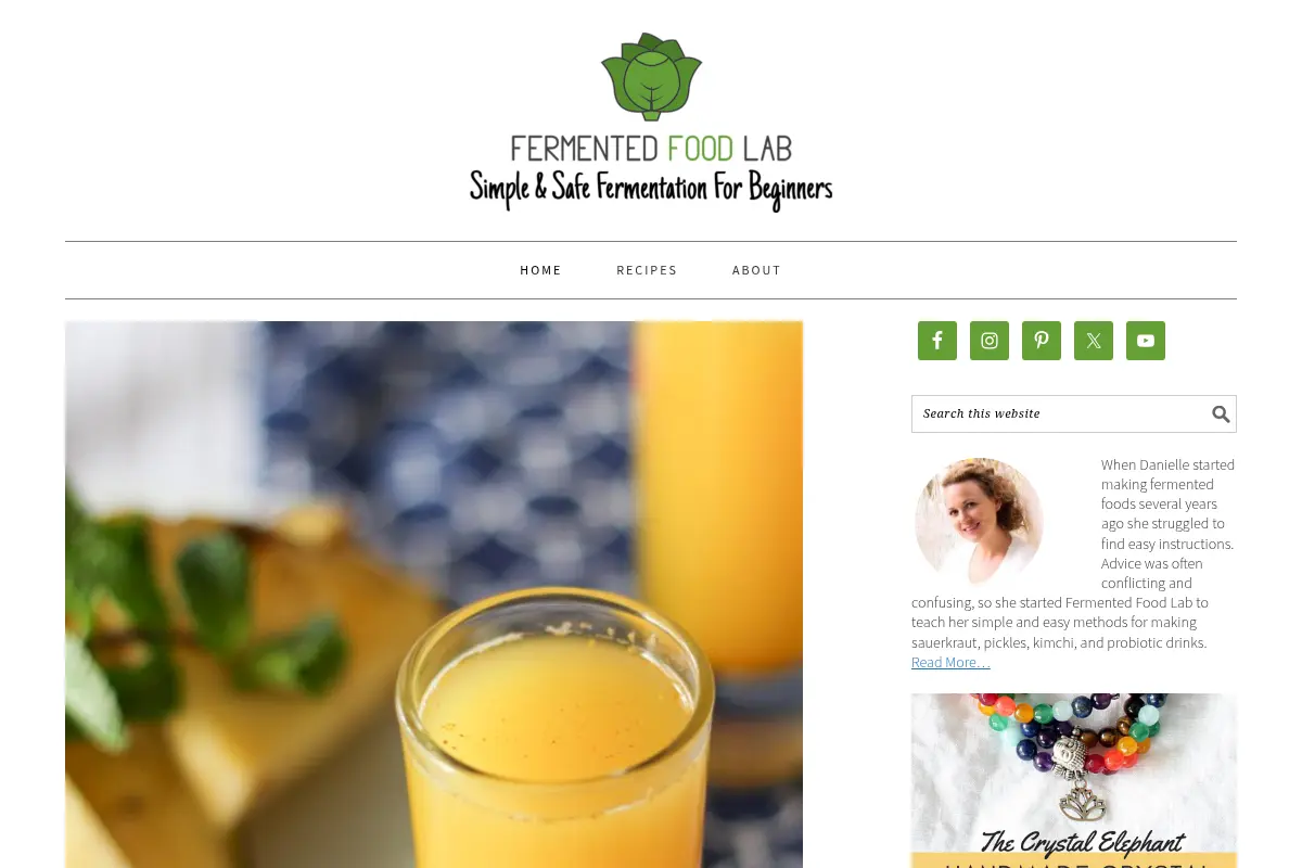 Fermented Food Lab