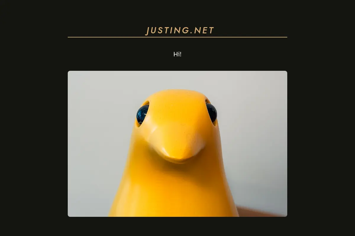 justing.net