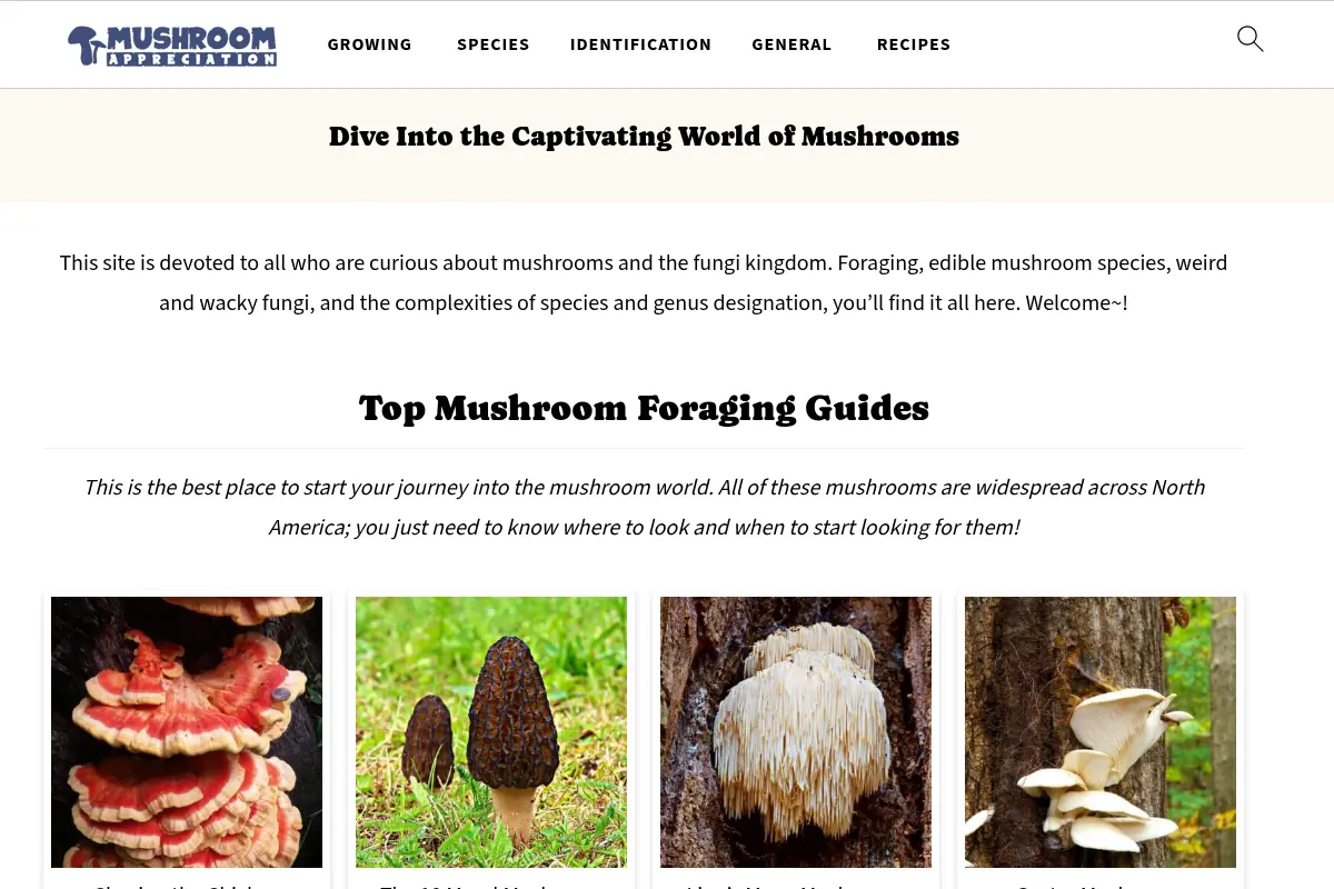 Mushroom Appreciation