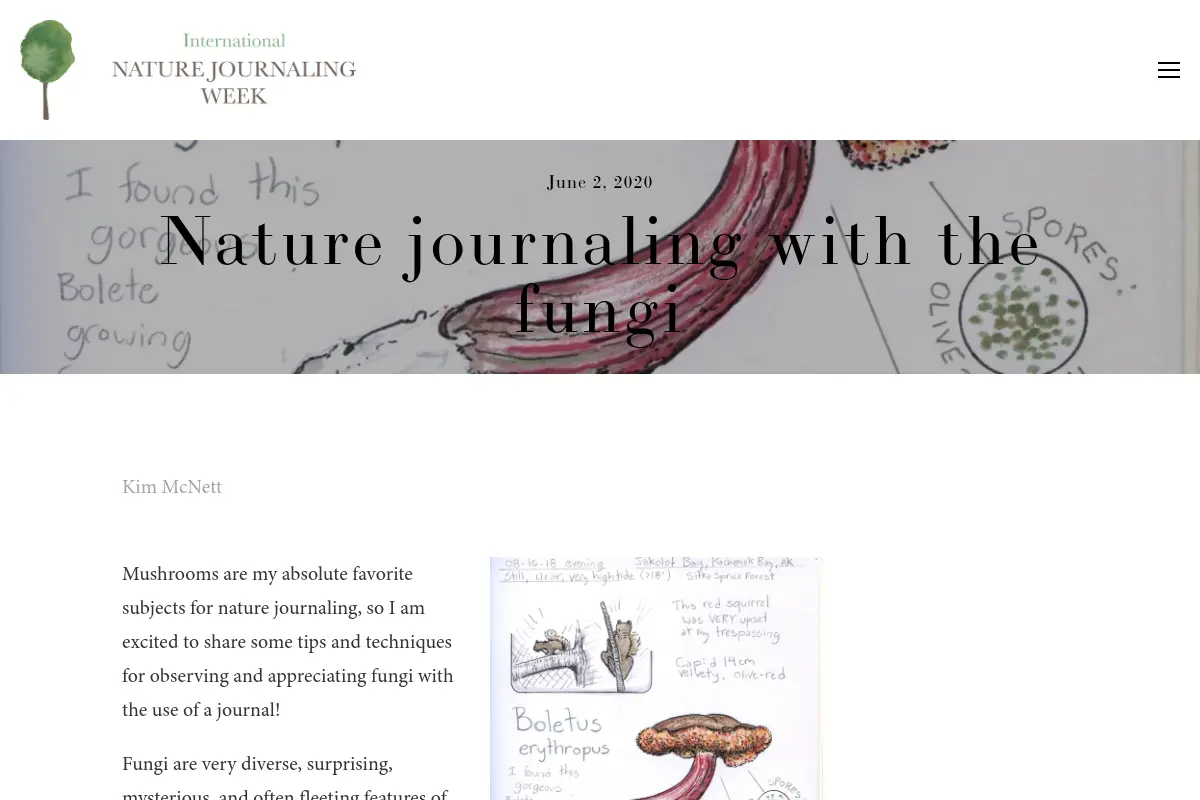 Nature journaling with the fungi