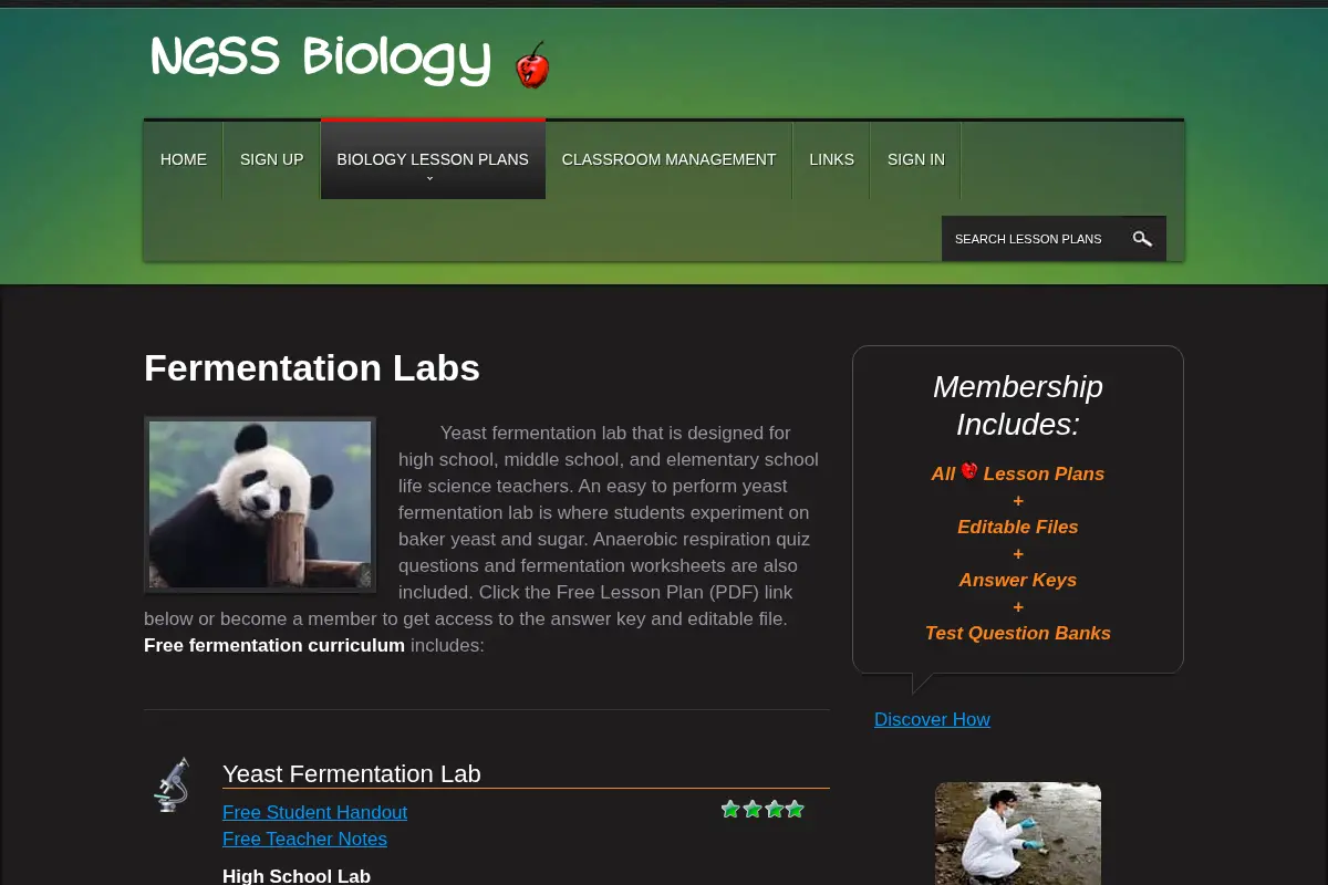 Yeast Fermentation Labs: Anaerobic Respiration Lessons