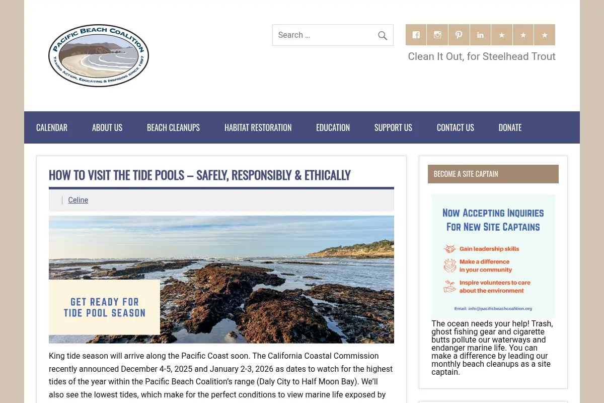 How to Visit the Tide Pools - Safely, Responsibly & Ethically - Pacific Beach Coalition