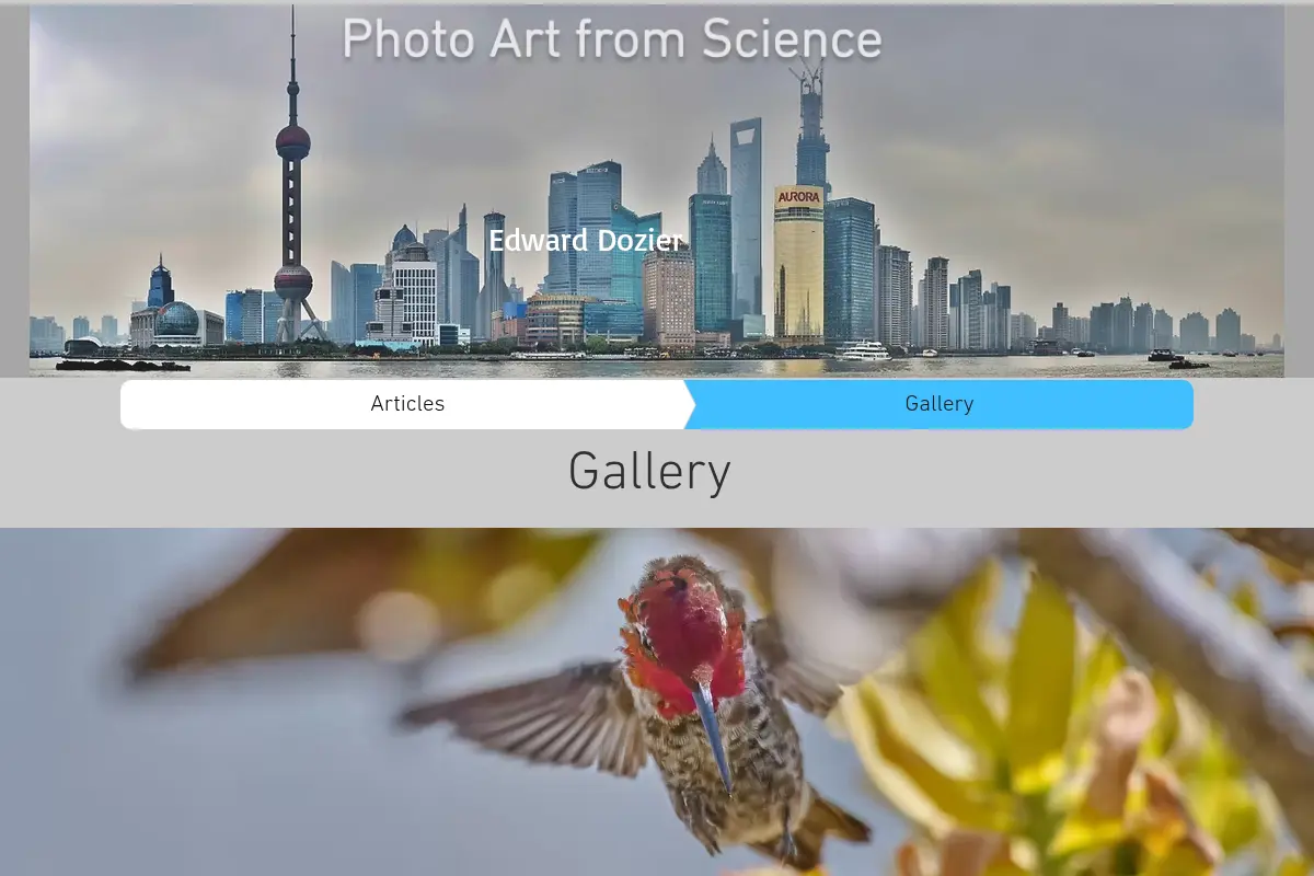 Photo Art From Science
