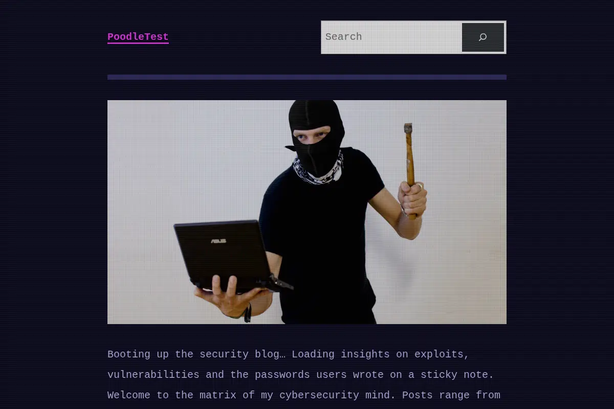 PoodleTest - Exploits, Vulnerabilities & Security Holes