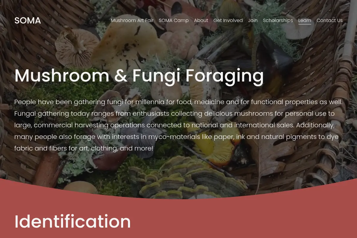 Foraging — SOMA