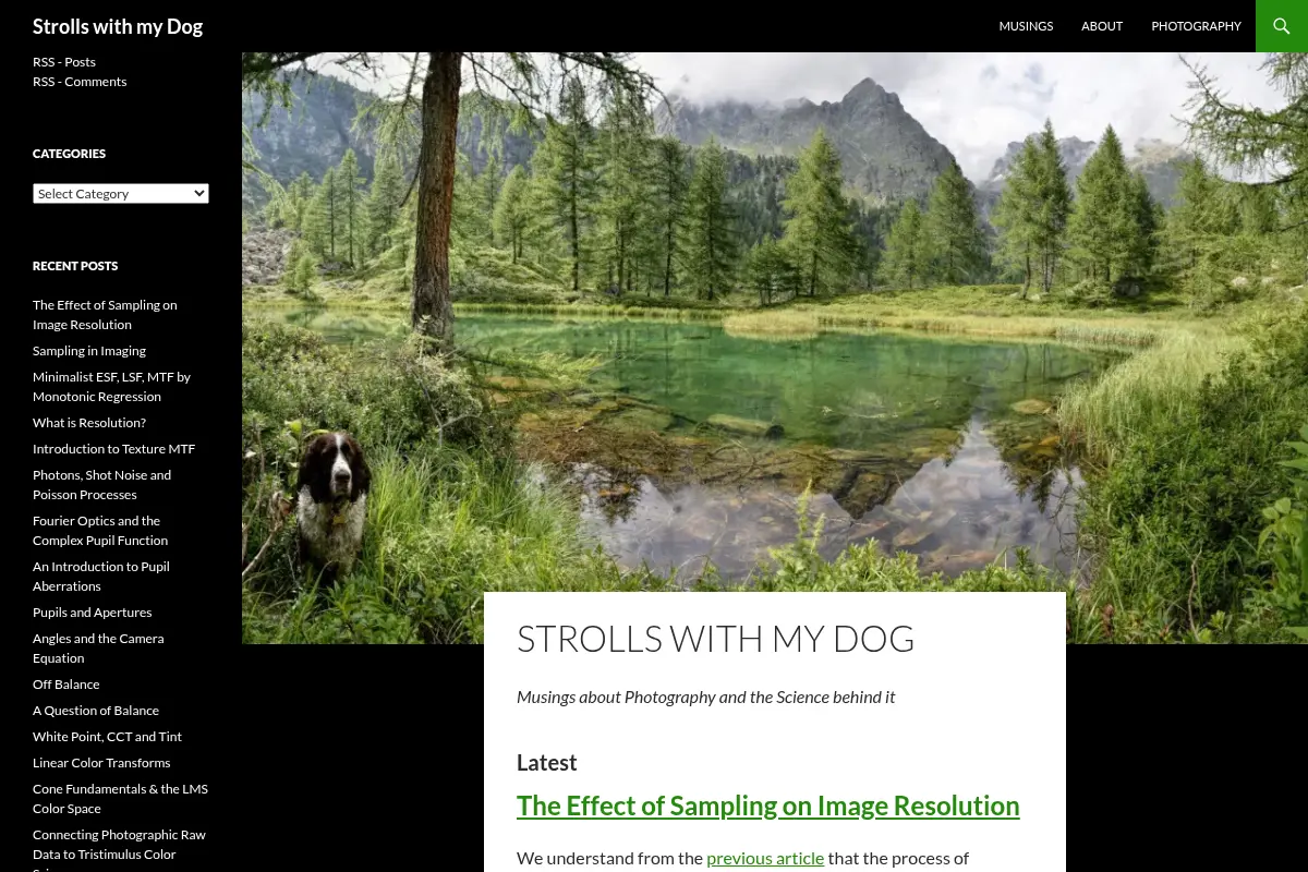 Strolls with my Dog | Musings about Photography
