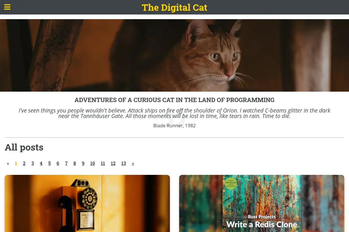 The Digital Cat