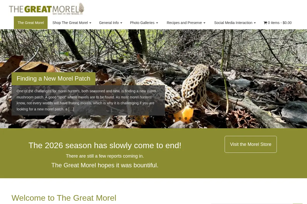 The Great Morel
