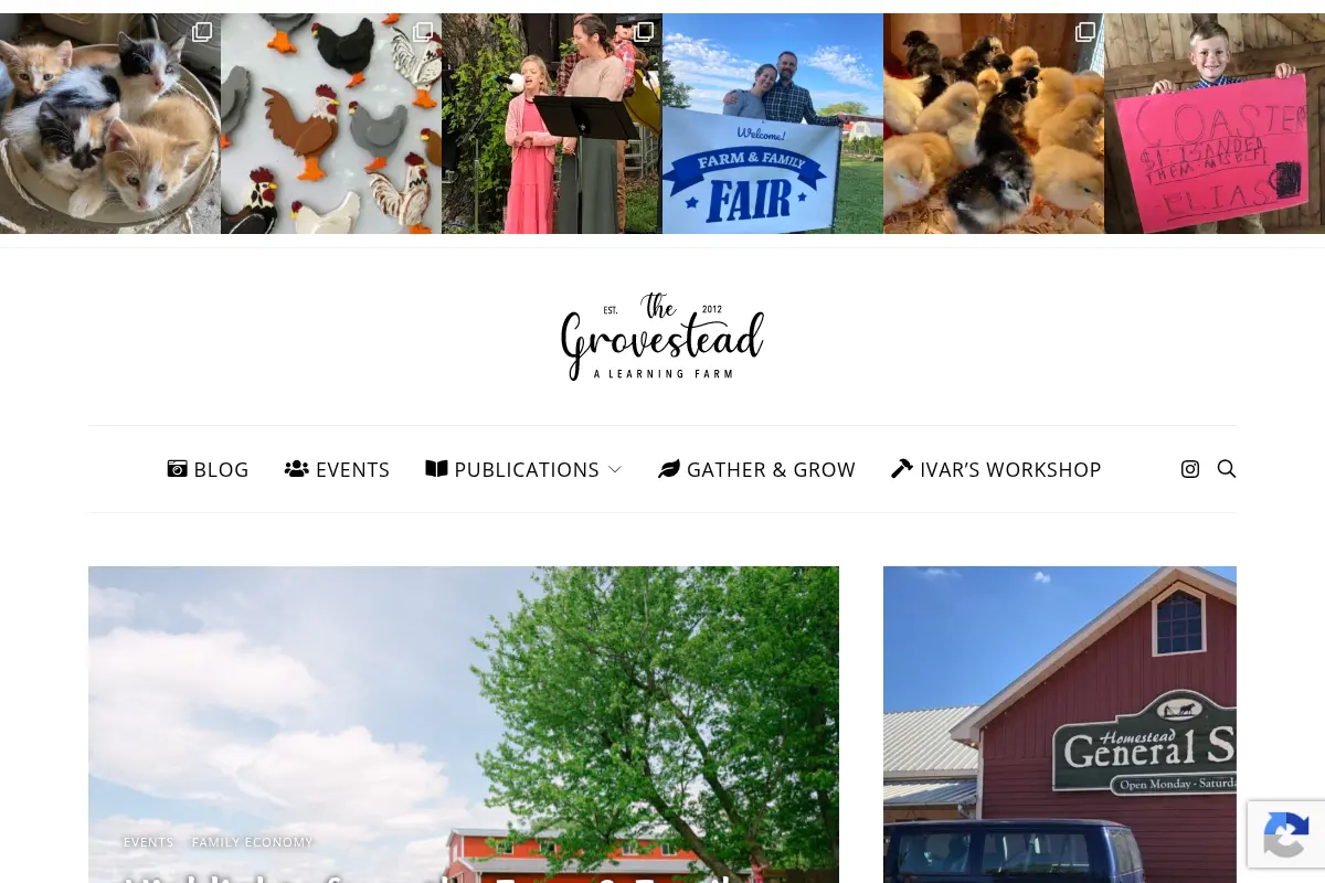 The Grovestead – A Learning Farm