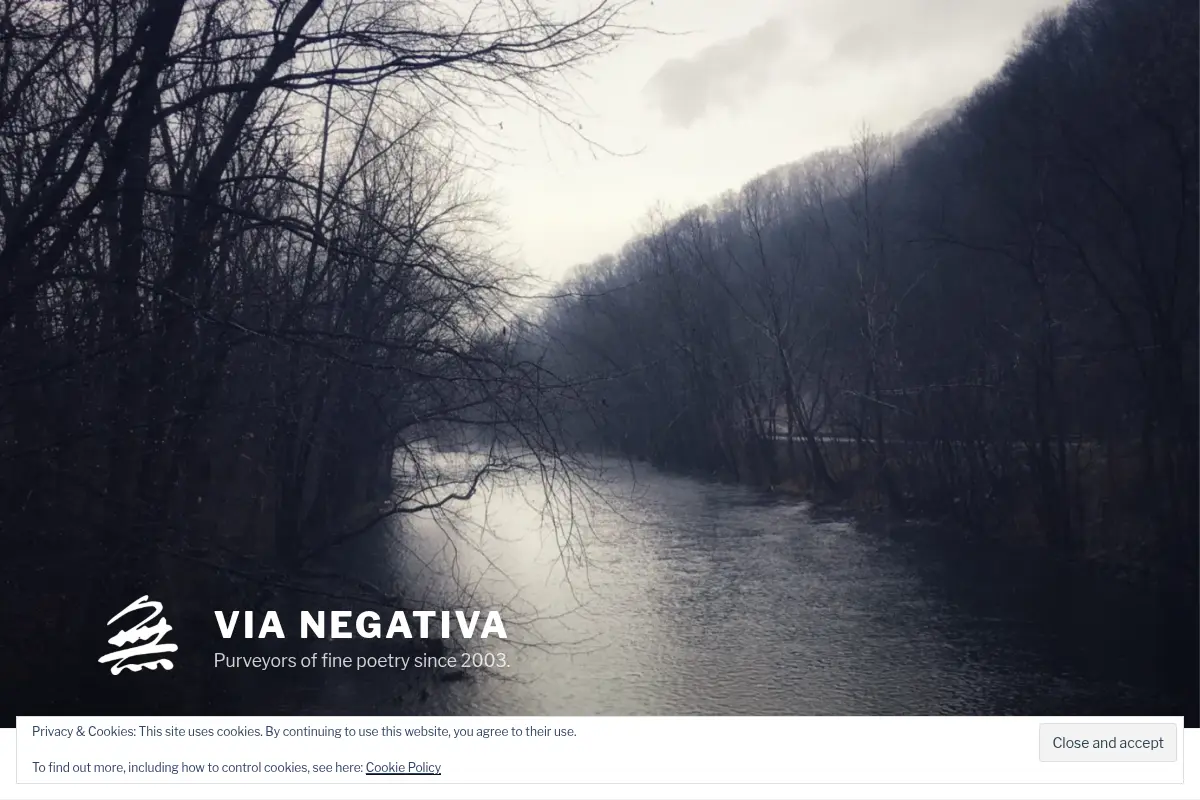 Via Negativa