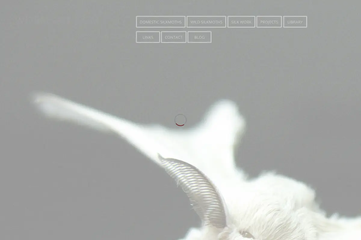 WormSpit – A site about silkworms, silkmoths, and silk