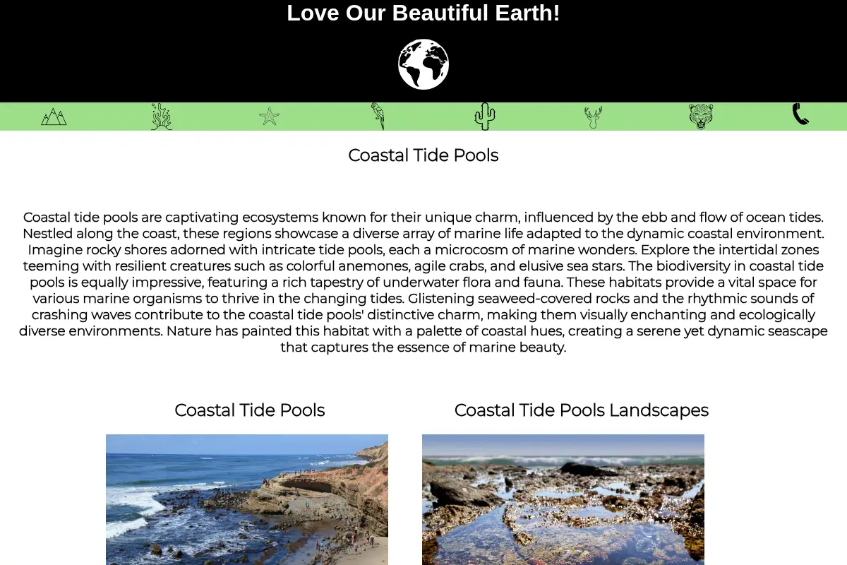 Coastal Tide pools